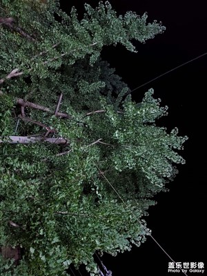 【多彩七月】+七月時(shí)光