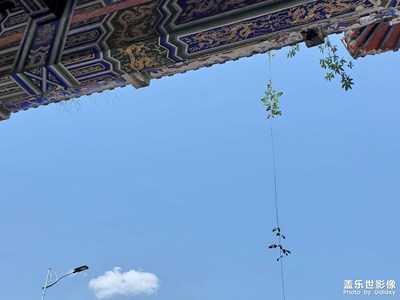 【多彩七月】+七月至