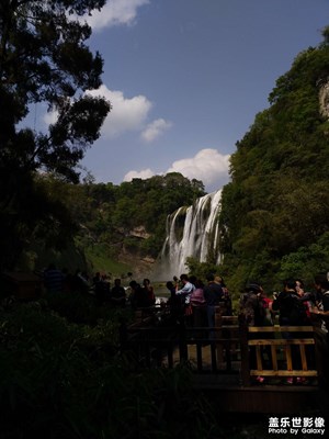 哪年的黃果樹！