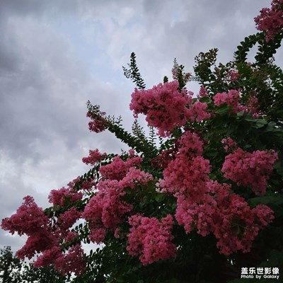 【視覺(jué)盛夏】隨機(jī)掉落日常碎片