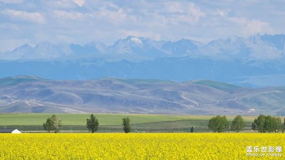 【視覺(jué)盛夏】
路邊隨拍