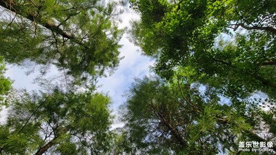 【視覺盛夏】岸上草原