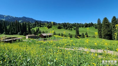 【視覺(jué)盛夏】
新疆游記