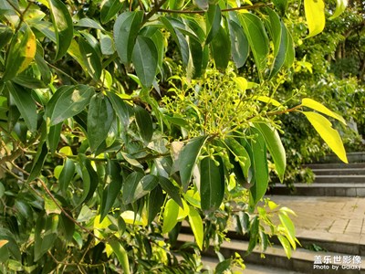 【視覺盛夏】+夏天