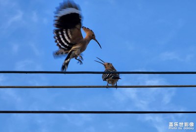 【鏡頭里的故事】嬉戲