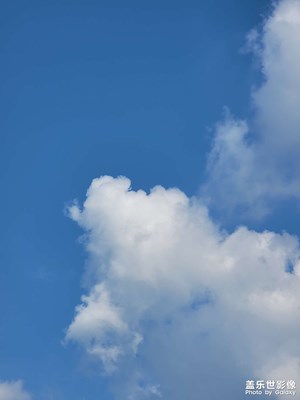  ????????｜八月記憶???