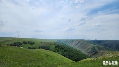 【鏡頭里的故事】輝騰錫勒黃花溝草原