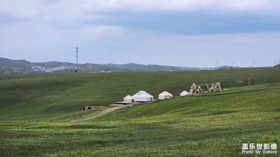 【鏡頭里的故事】+難忘的草原