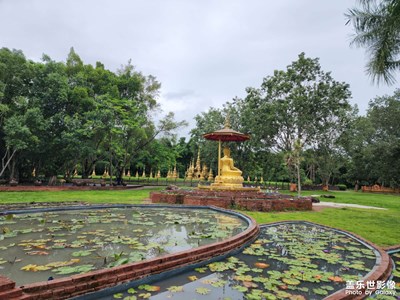 【萃取生活】+ 版納薈萃之打洛！