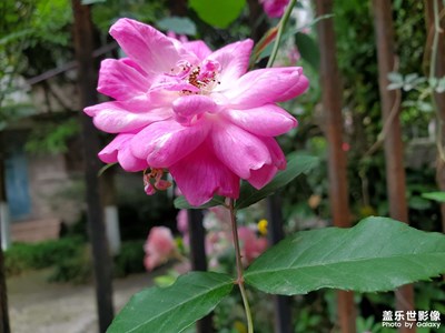 【鏡頭里的故事】+美麗風(fēng)景