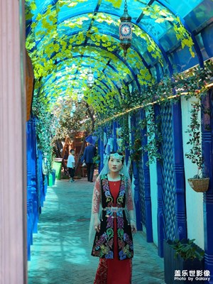 【萃取生活】小院抓拍