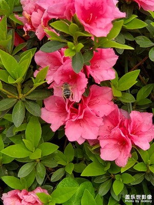 【萃取生活】+ 雨過天晴