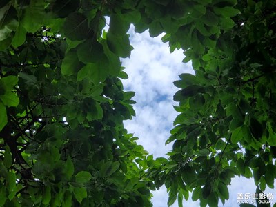 【萃取生活】+ 風(fēng)景隨拍