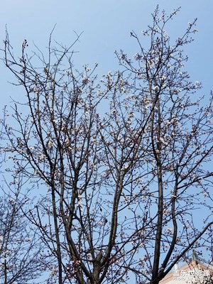 【萃取生活】+ 日常小記