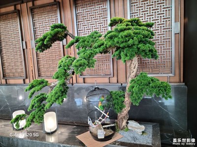 【分享美好】生活小景