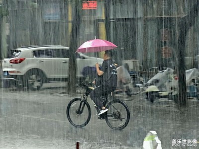 【分享美好】雨中抓拍