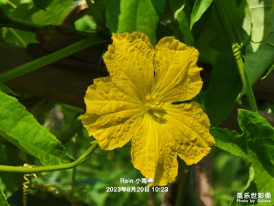 農(nóng)村生活攝影養(yǎng)成??2??