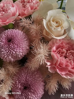 【分享美好】各種花朵