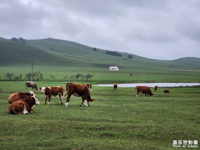 【隨處精彩】+?烏蘭布統(tǒng)歐式草原