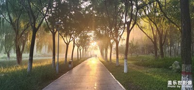 【隨處精彩】+?日常隨拍