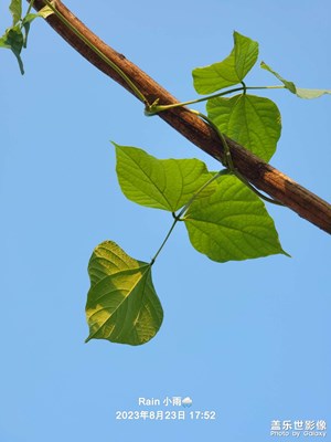 農(nóng)村生活攝影養(yǎng)成??7??