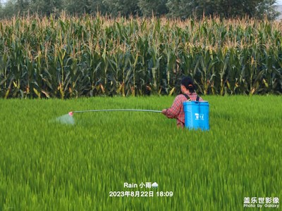 農(nóng)村生活攝影養(yǎng)成??6??