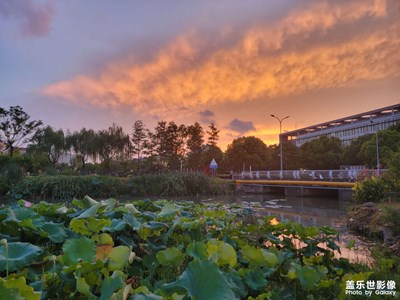 【隨處精彩】+邊走邊拍