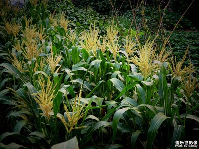 【隨處精彩】 23U隨拍