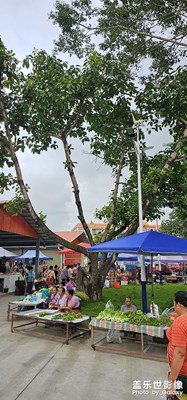 【最美初秋】秋意朦朧