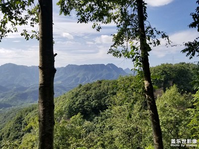 【最美初秋】漢水源的樹(shù)