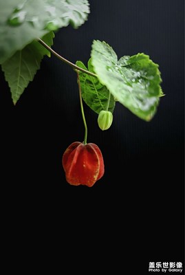 【隨處精彩】+廠門口隨拍