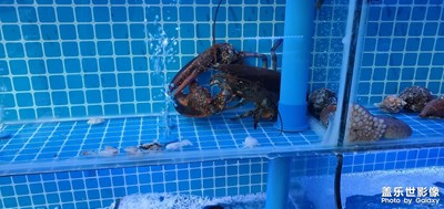 【隨處精彩】+隨處都是精彩