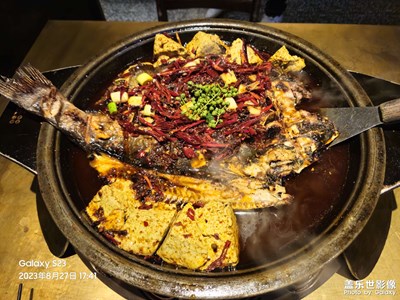 【最美初秋】入秋后的陽(yáng)光明媚