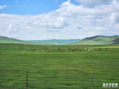 【再見夏天】+?貢格爾游牧文化草原
