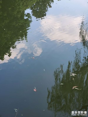 【最美初秋】秋水共長(zhǎng)天一色