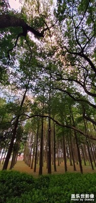 【再見(jiàn)夏天】+ 難忘的東湖風(fēng)景