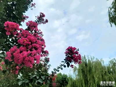 【最美初秋】初秋的風(fēng)景