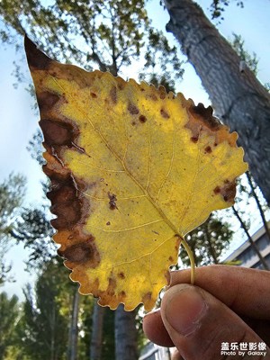 【再見夏天】隨手拍