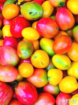 【最美初秋】+美在初秋