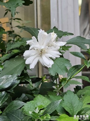 【最美初秋】按住秋天的腦袋瓜兒?