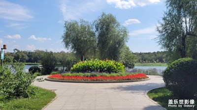 【最美初秋】秋天的公園