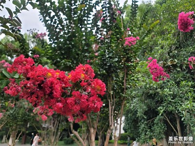 【最美初秋】美麗的秋景