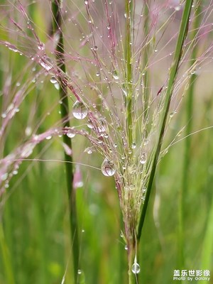 【光陰的故事】雨后清涼