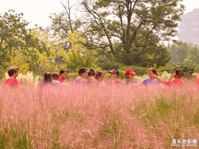 【光陰的故事】粉黛子粉色系