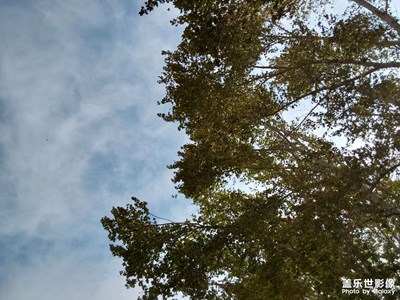 【光陰的故事】陽(yáng)光與陰影