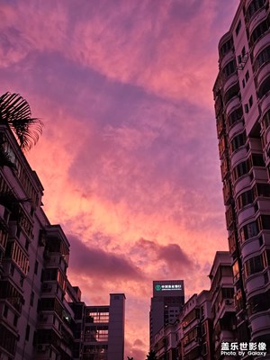 【最美初秋】 粉色晚霞