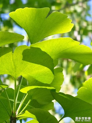 【城市名片】最美漢中