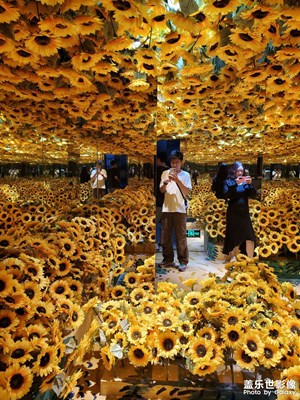 【最美初秋】梵高和他的向日葵