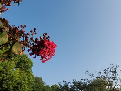 【最美初秋】走走拍拍