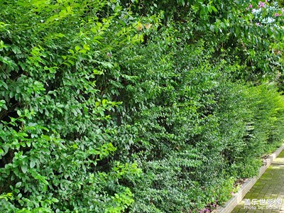 【城市名片】+風(fēng)景